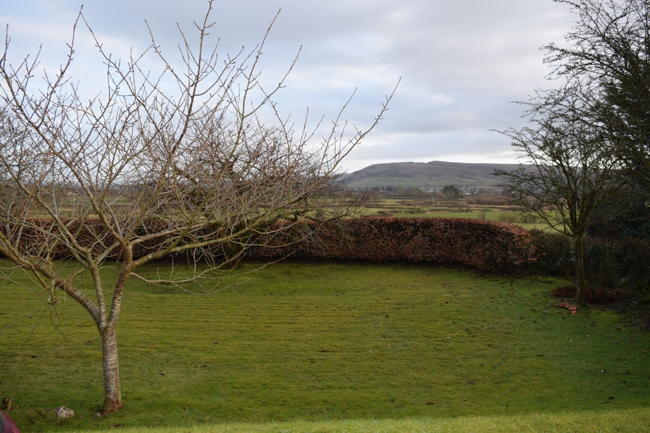 The Front Garden
