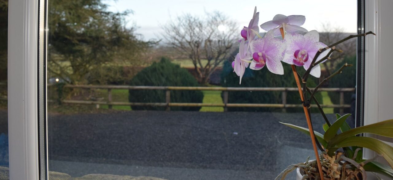 Residential Care at Lunesdale House